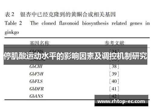 停肌酸运动水平的影响因素及调控机制研究