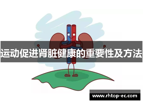 运动促进肾脏健康的重要性及方法